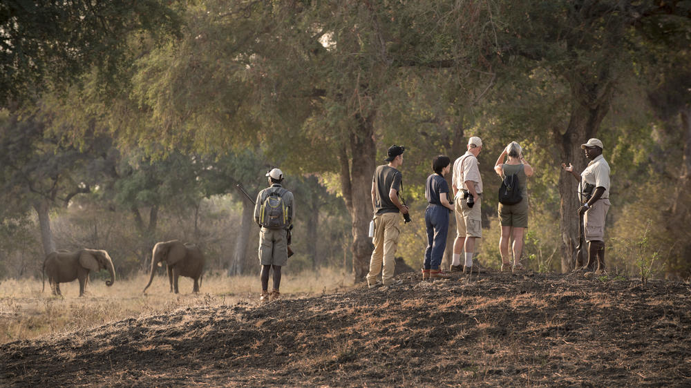 African Bush Camps Zambezi Expeditions