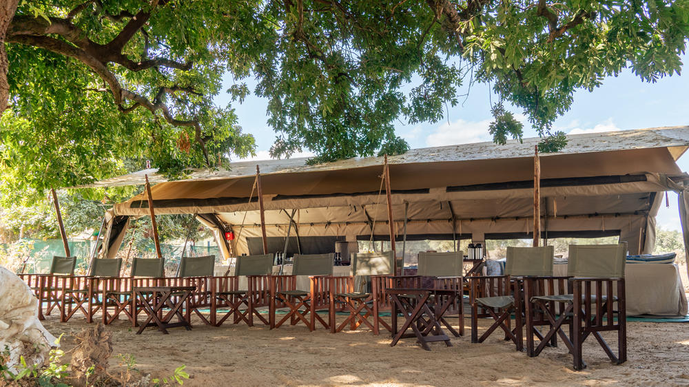 African Bush Camps Zambezi Expeditions