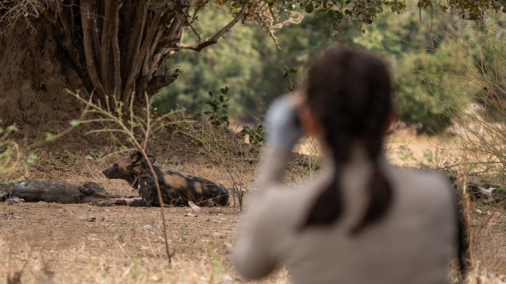 African Bush Camps Zambezi Expeditions