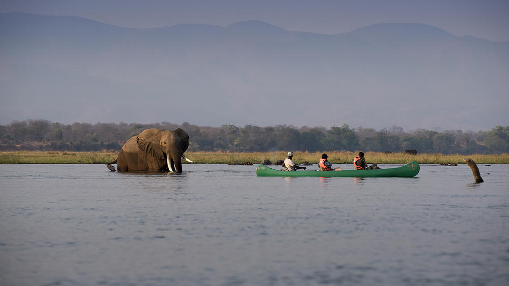 African Bush Camps Zambezi Expeditions