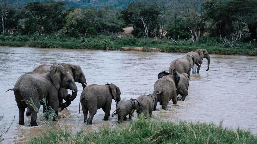 mFulaWozi Biyela Lodge