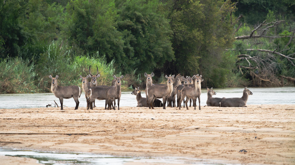 mFulaWozi Biyela Lodge
