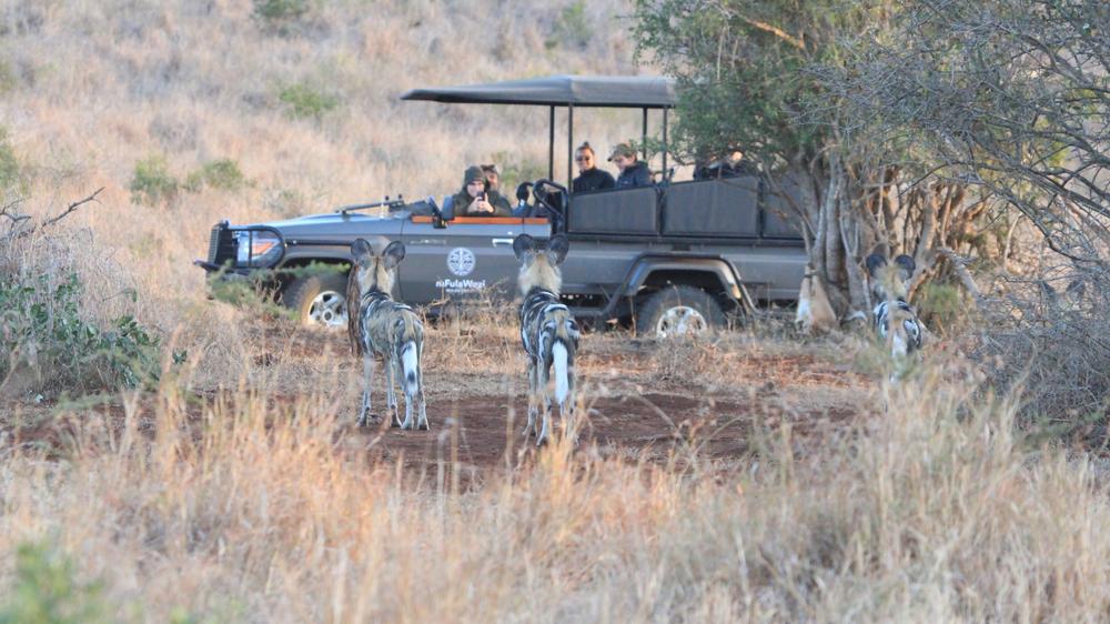 mFulaWozi Biyela Lodge