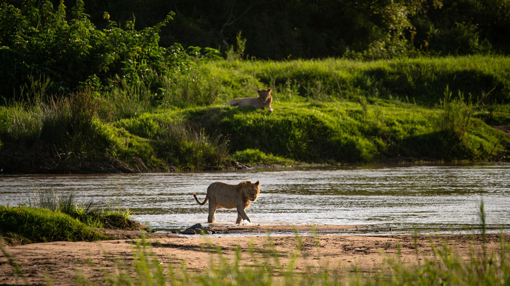mFulaWozi Biyela Lodge