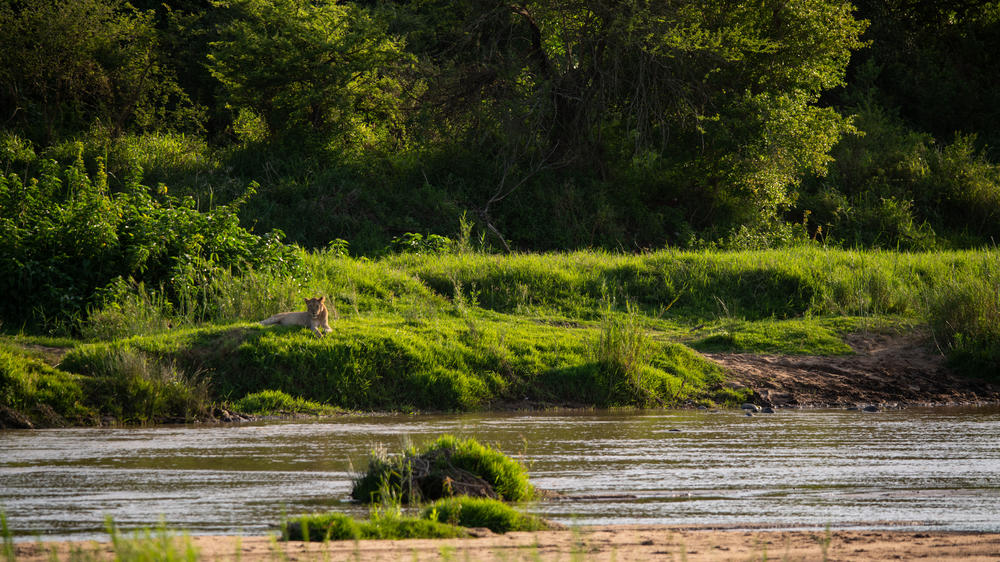 mFulaWozi Biyela Lodge
