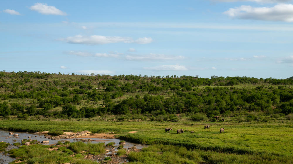 mFulaWozi Biyela Lodge