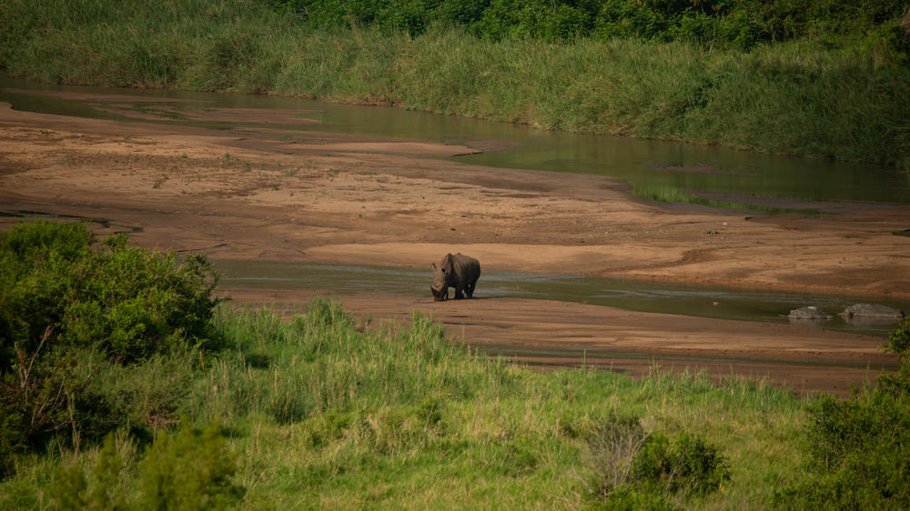 mFulaWozi Biyela Lodge