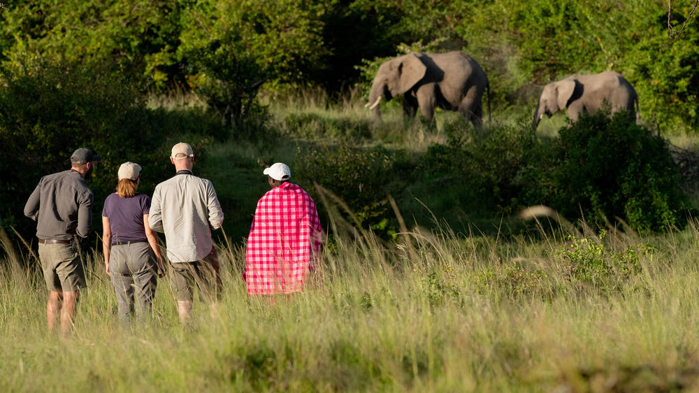 Kicheche Valley Naboisho
