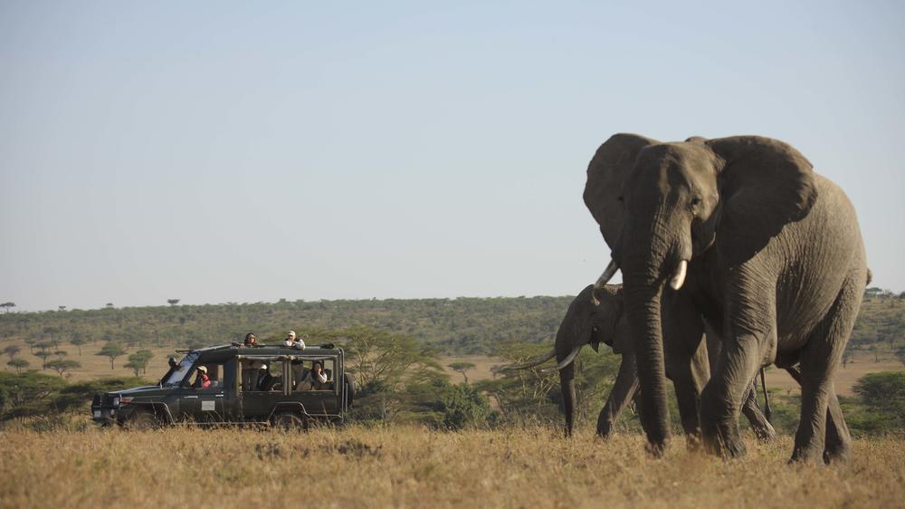 Kicheche Valley Naboisho