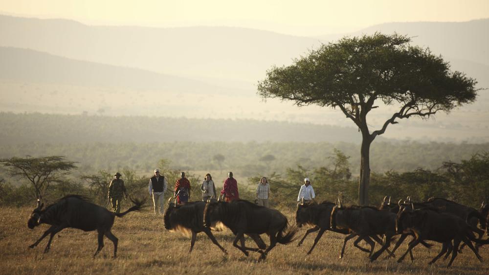 Kicheche Valley Naboisho
