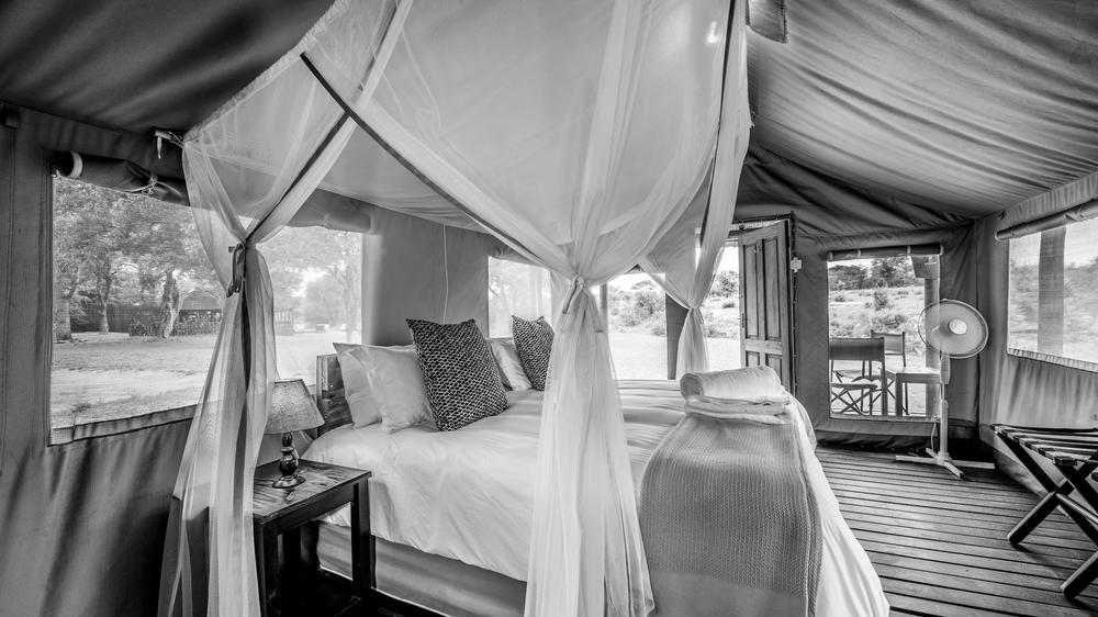 Shindzela Tented Safari Camp