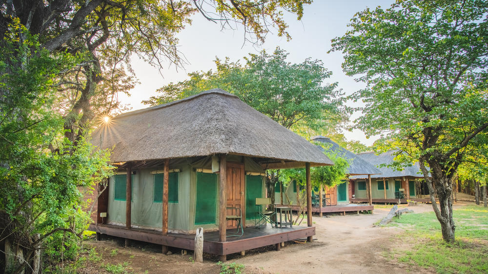 Shindzela Tented Safari Camp