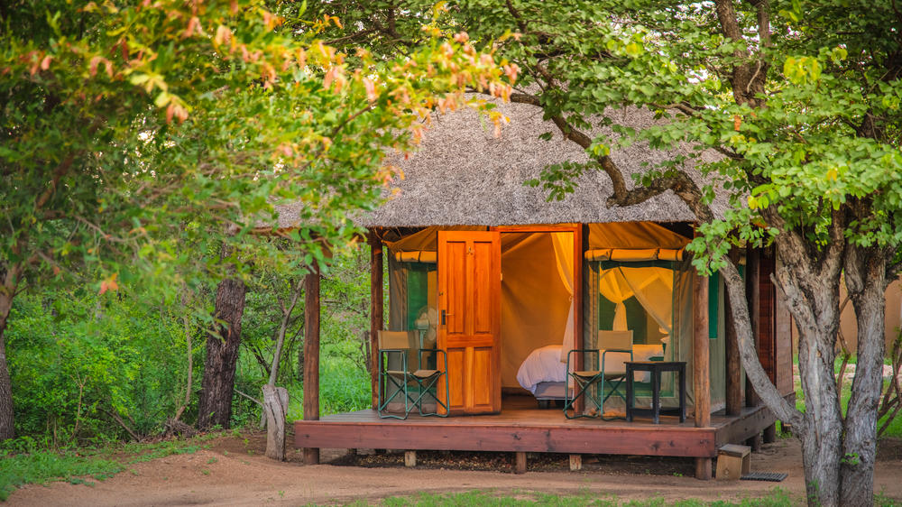 Shindzela Tented Safari Camp