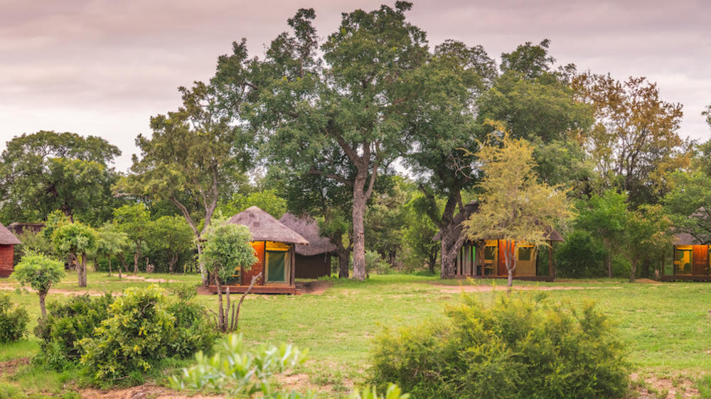 Shindzela Tented Safari Camp