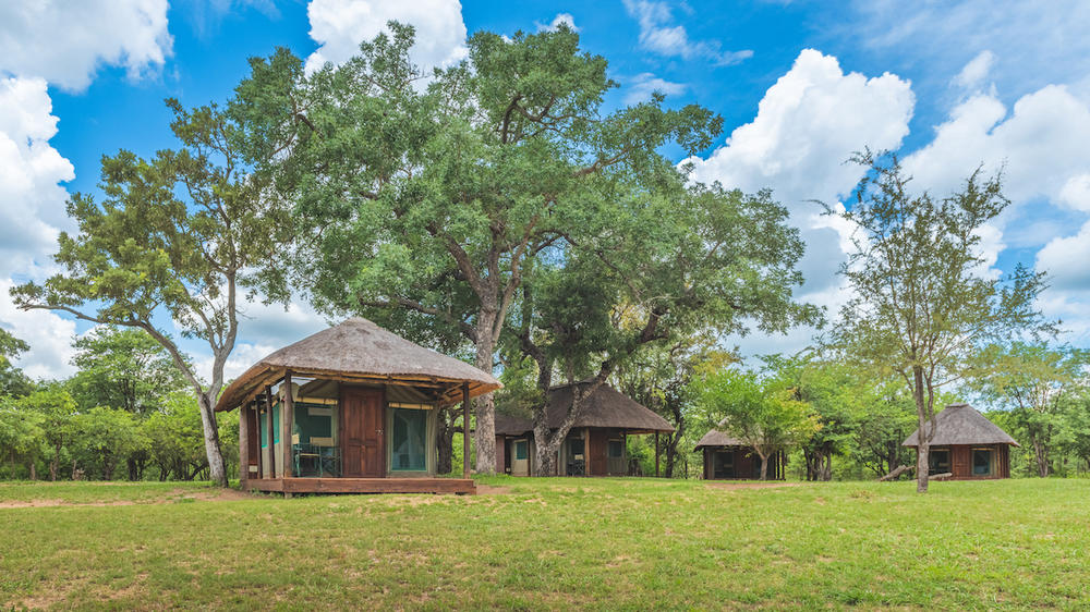 Shindzela Tented Safari Camp