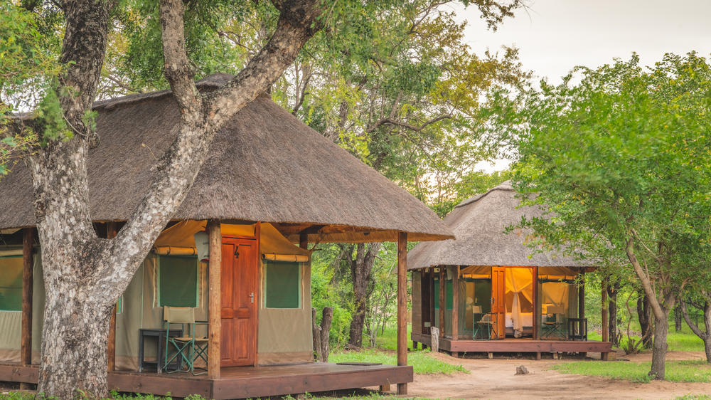 Shindzela Tented Safari Camp