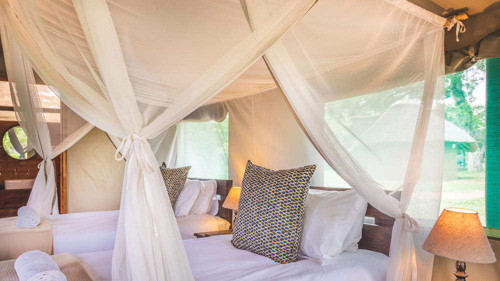 Shindzela Tented Safari Camp