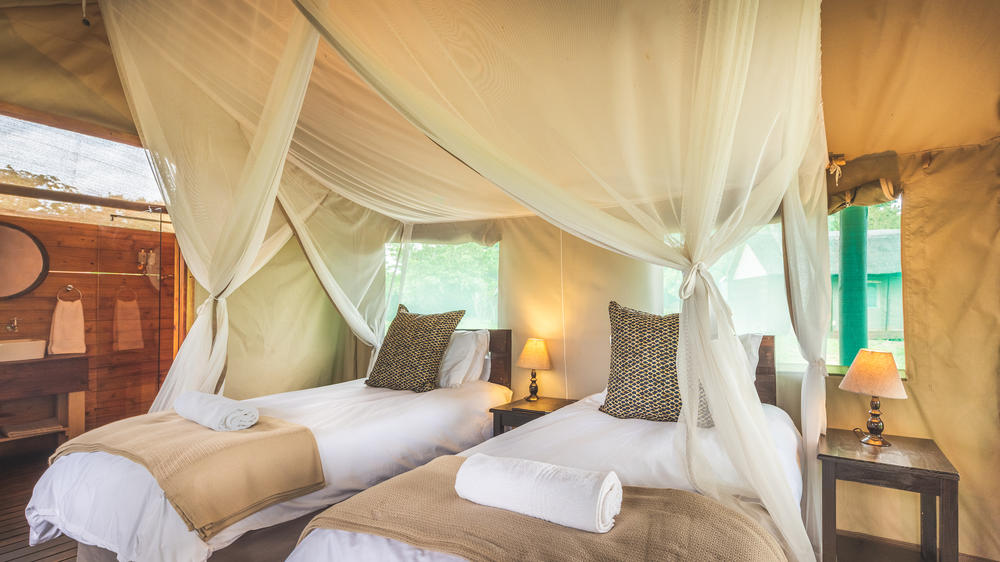 Shindzela Tented Safari Camp