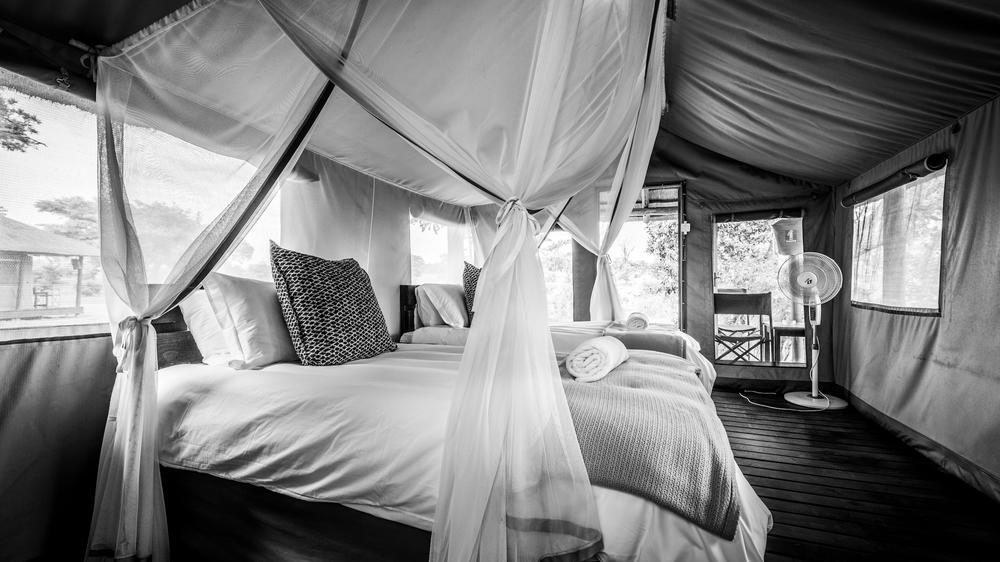 Shindzela Tented Safari Camp