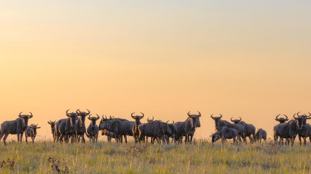 Babanango - Madwaleni River Lodge