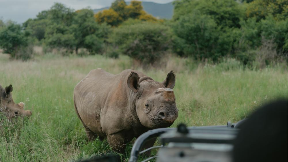 Babanango - Madwaleni River Lodge