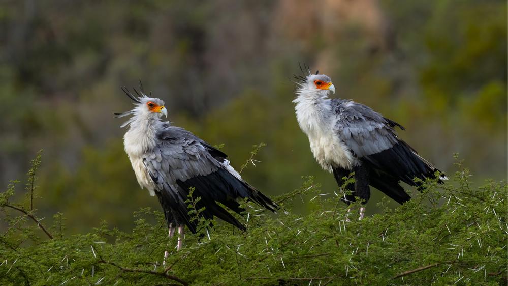 Babanango - Madwaleni River Lodge