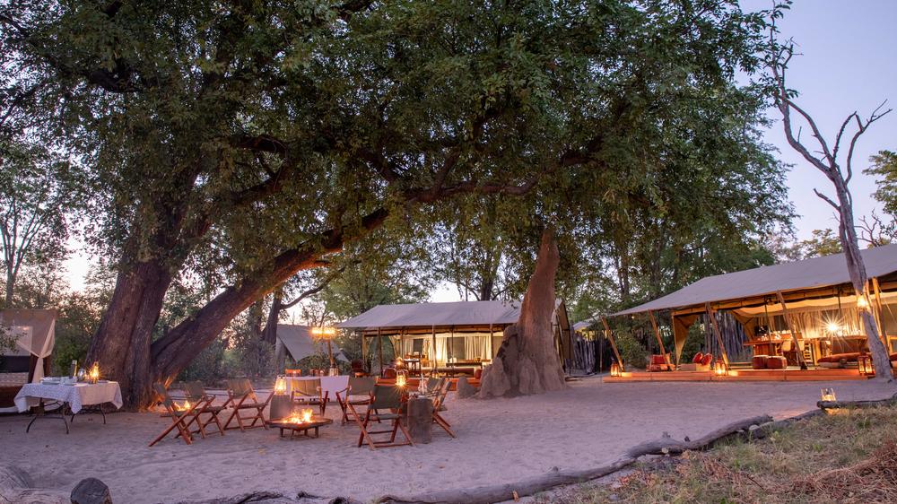 Selinda Explorers Camp