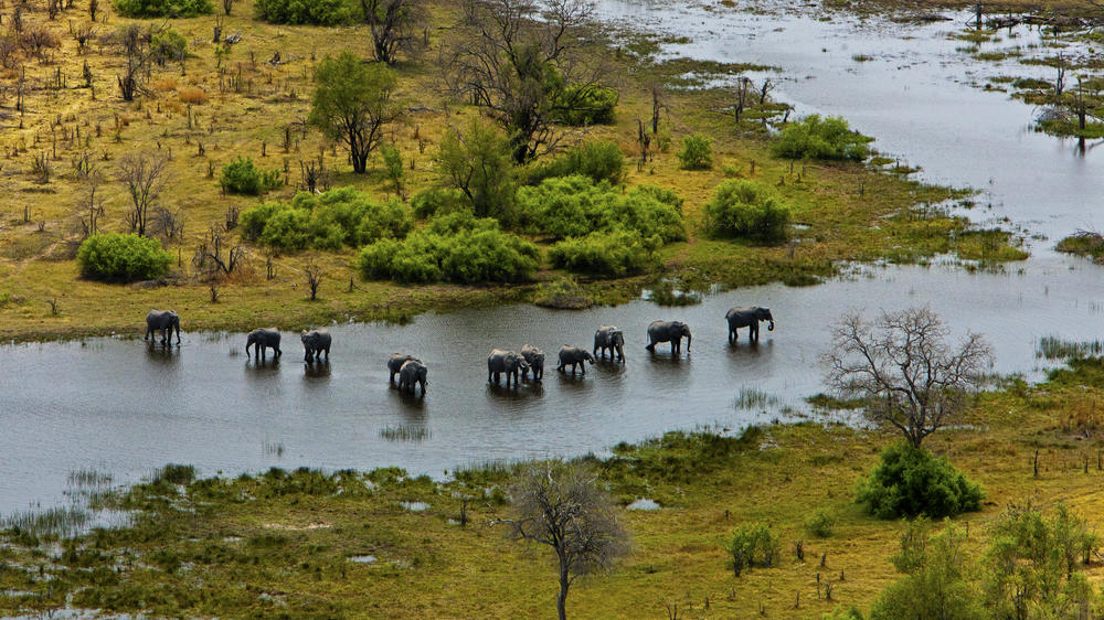 Selinda Explorers Camp