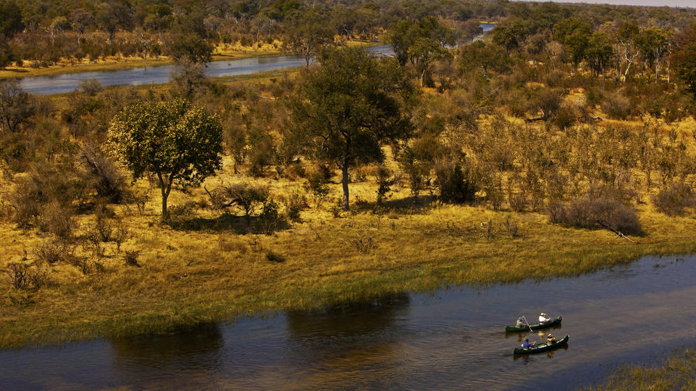 Selinda Explorers Camp