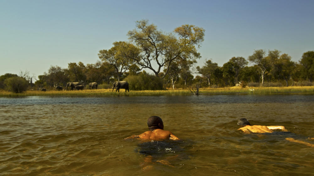 Selinda Explorers Camp