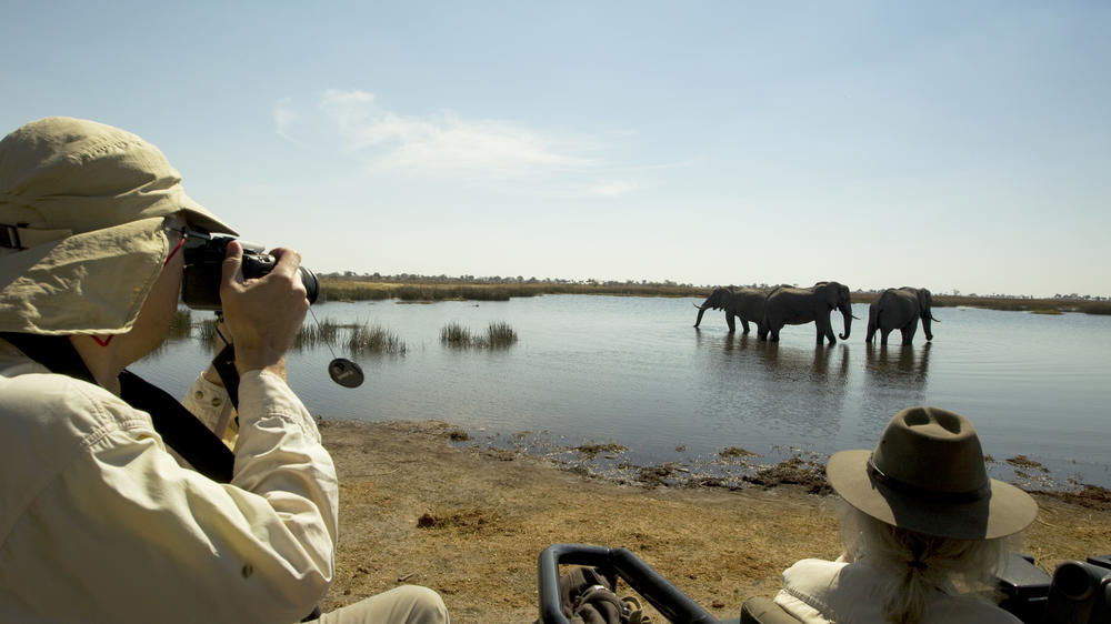 Selinda Explorers Camp