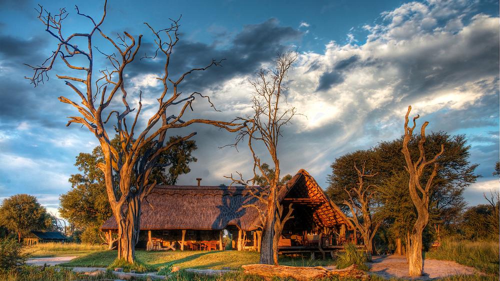 Zimbabwe - 4-day Hwange Safari with Bomani Tented Lodge - Private accommodated