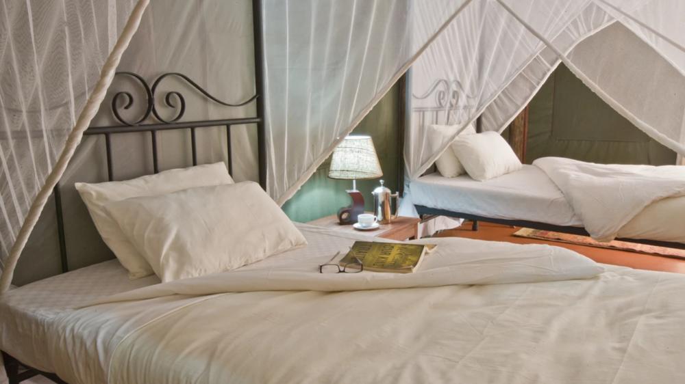 Kirurumu Tarangire Lodge