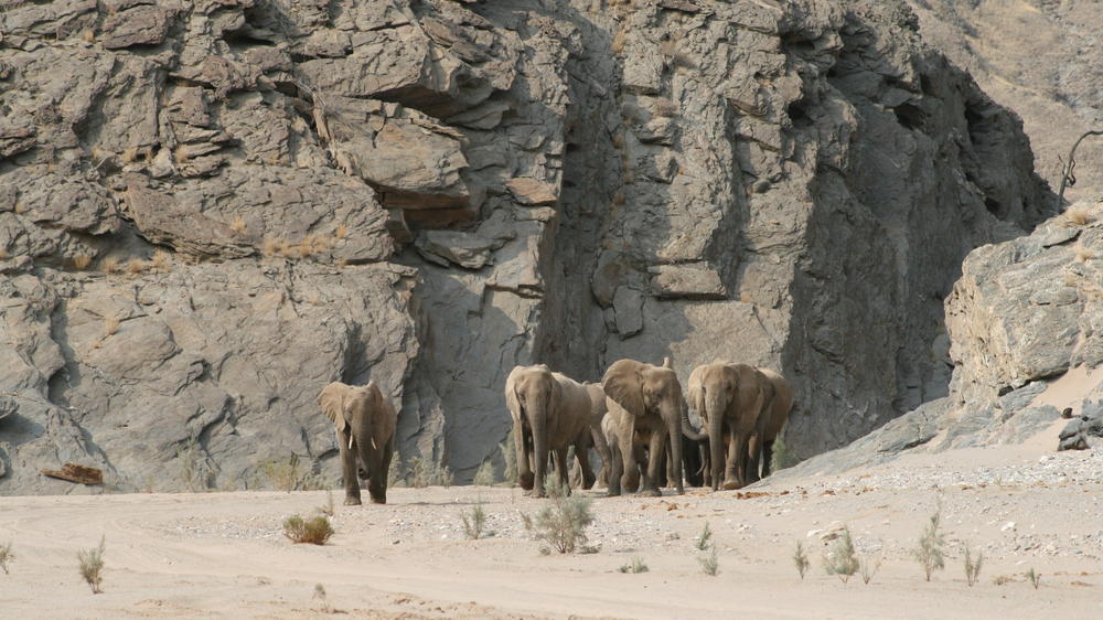 Khowarib Lodge and Safaris