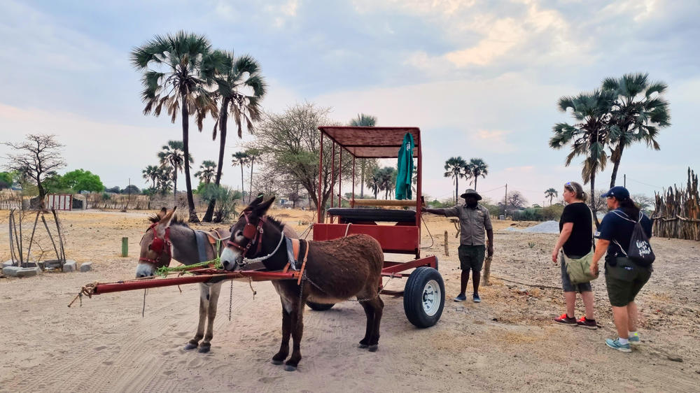 Ongula Village Homestead Lodge