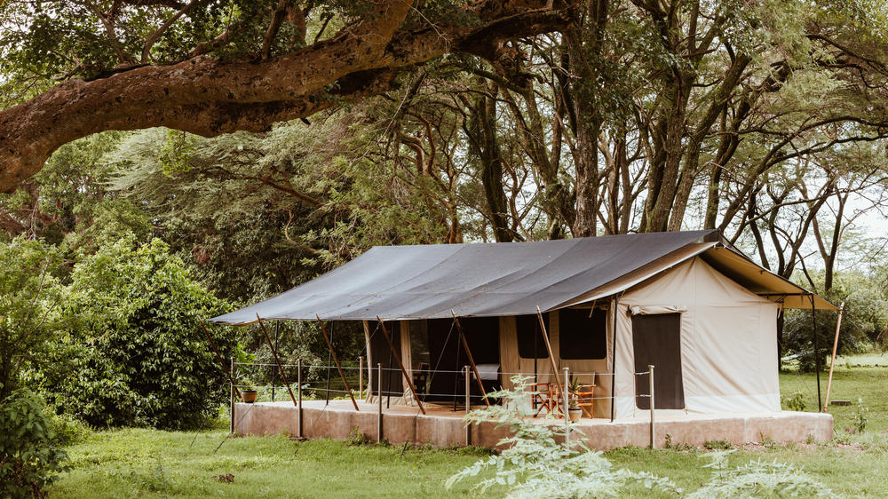 Kenya - 4-day Maasai Mara Safari with Basecamp Adventure Camp - Tailored Fly-in
