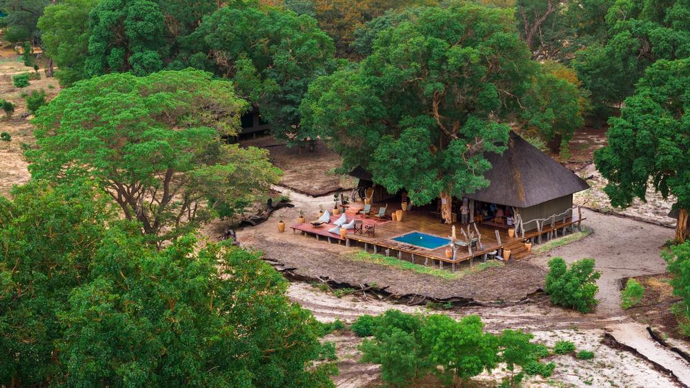 Zimbabwe - 4-day Hwange Safari with Silwane Lodge - Tailored Fly-in