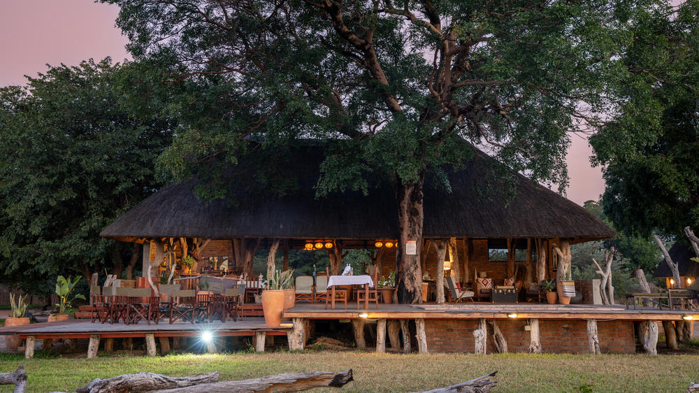 Zimbabwe - 4-day Hwange Safari with Silwane Lodge - Tailored Fly-in
