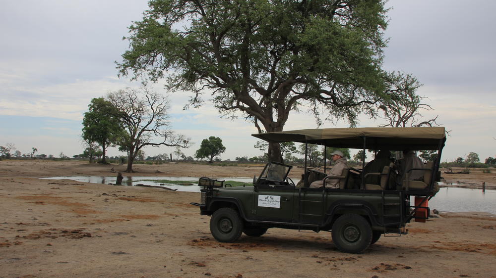 Miombo Safari Camp