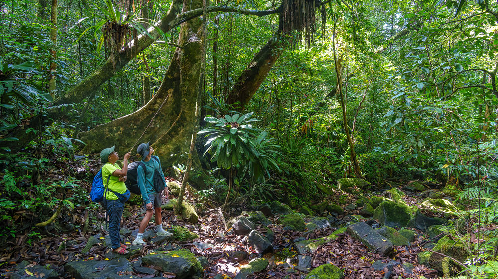 Masoala Forest Lodge