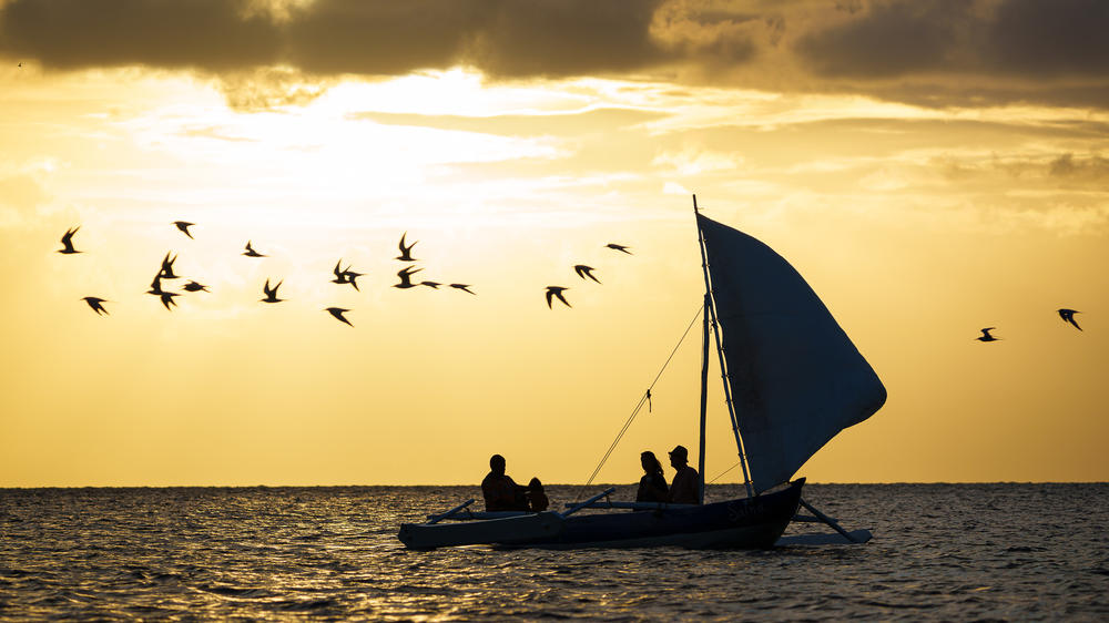 Masoala Forest Lodge
