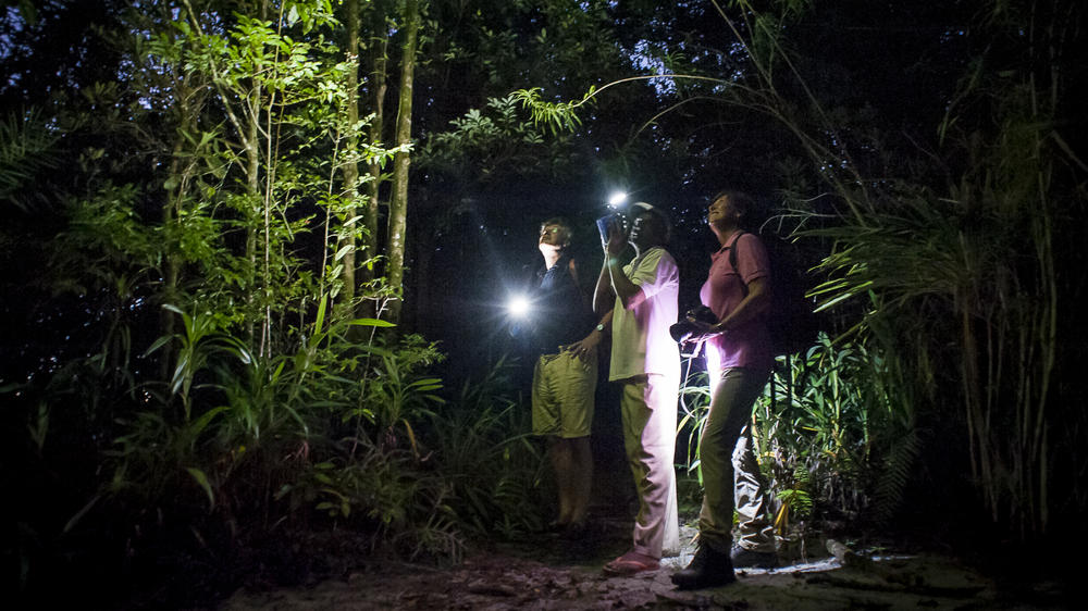 Masoala Forest Lodge