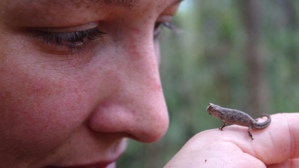 Masoala Forest Lodge