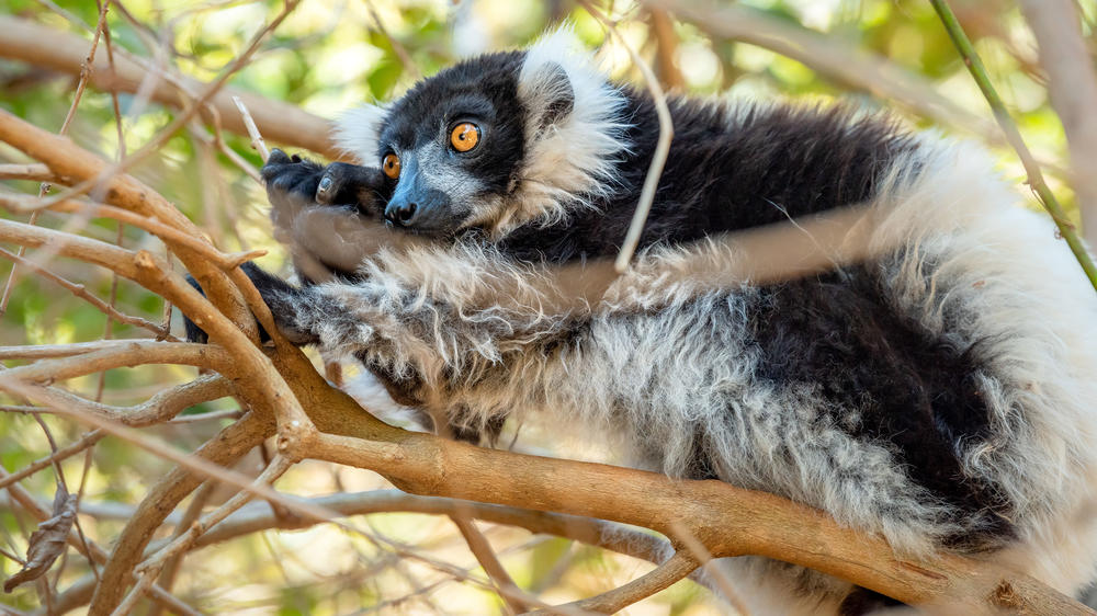 Masoala National Park