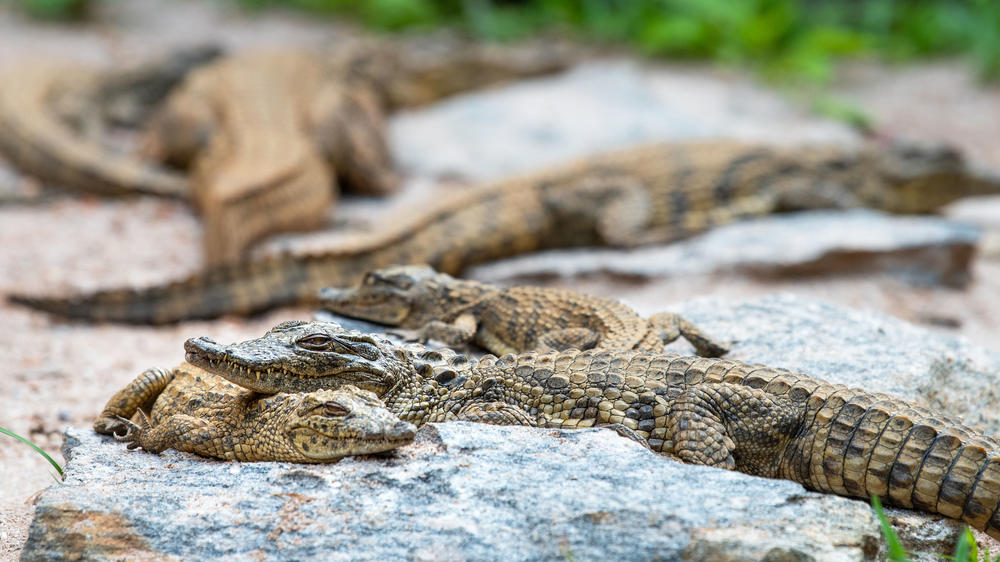 Masoala National Park