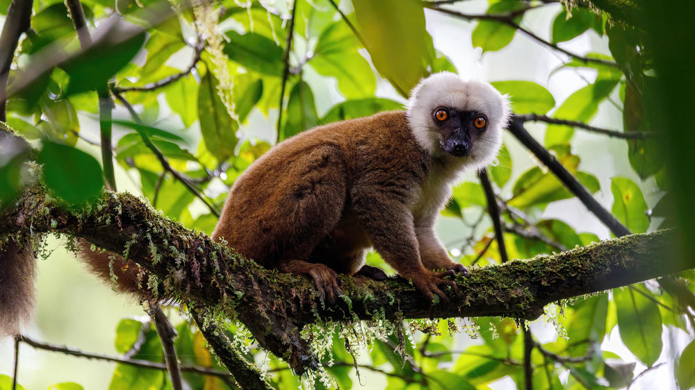 Masoala National Park