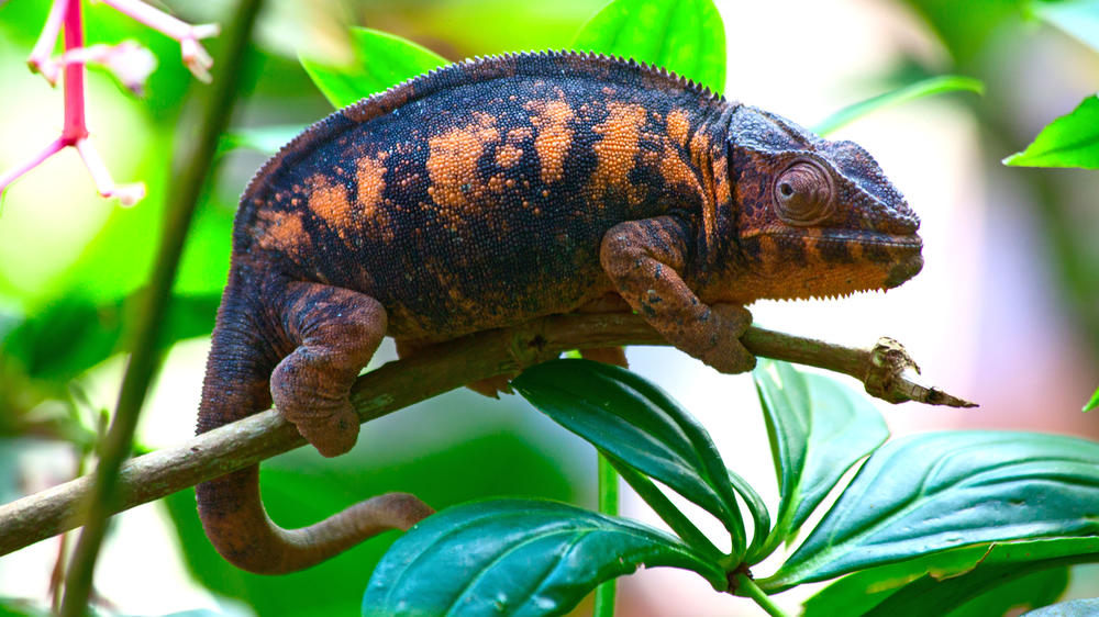 Masoala National Park