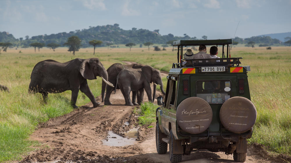Elewana Serengeti Pioneer Camp