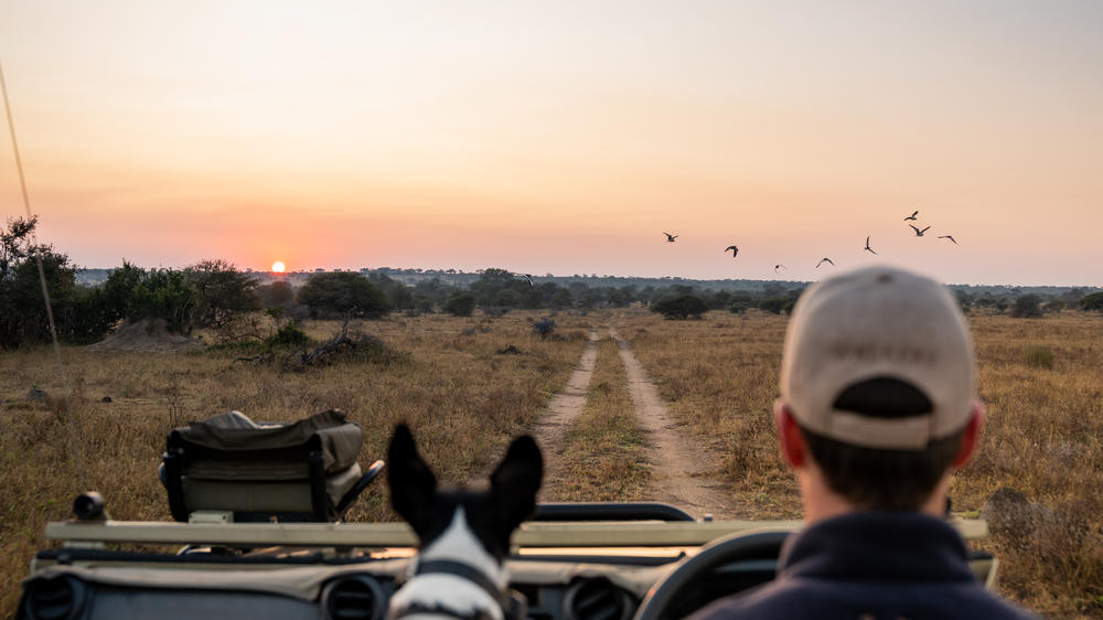 Walkers Plains Camp