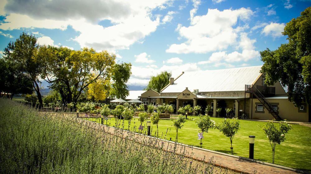 Surval Boutique Olive Estate